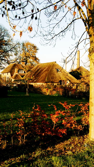 Zorba de Griek Restaurant: Why Spijkenisse Loves Its Greek Cuisine